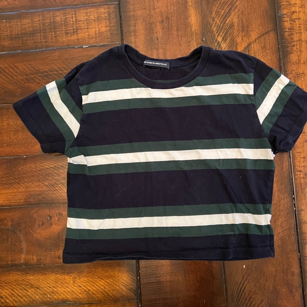 Brandy Melville Navy and Green Striped Tee- cropped